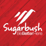 Internship USA Sugarbush Ski Resort Logo (1)